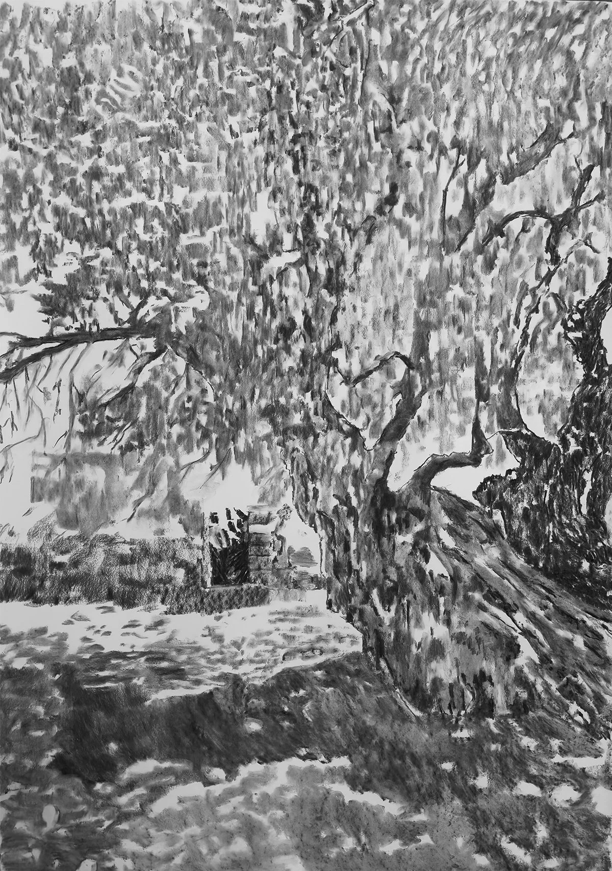 "Ruins", Charcoal on Paper, 48 x 96"