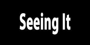 SeeingIt.png