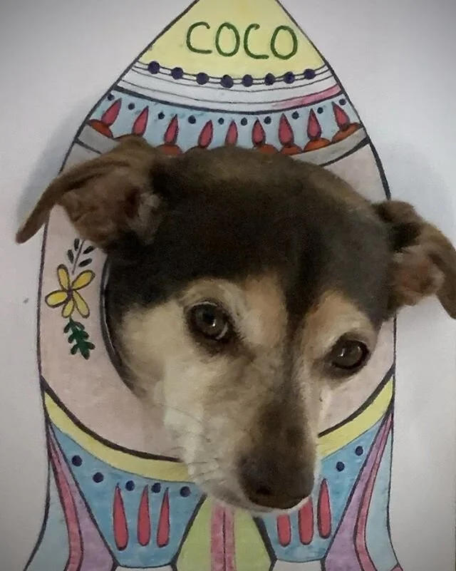 Thank you @wendemuseum for the amazing kid’s activity that turned our dog Coco into an astropup! #wendeonline #wendespacepets #spacedogs #belkaandstrelka