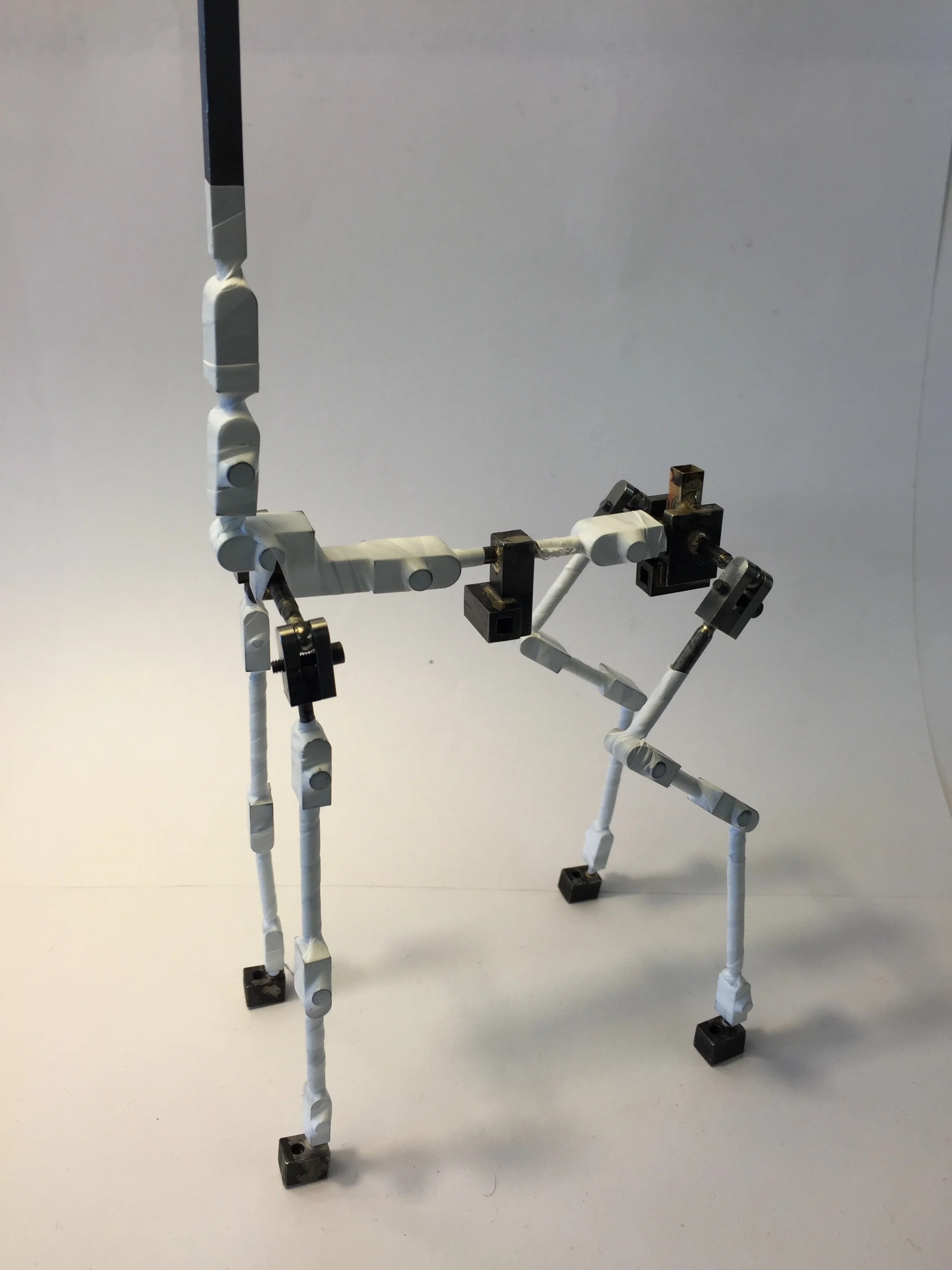 rudolph-armature005.jpg