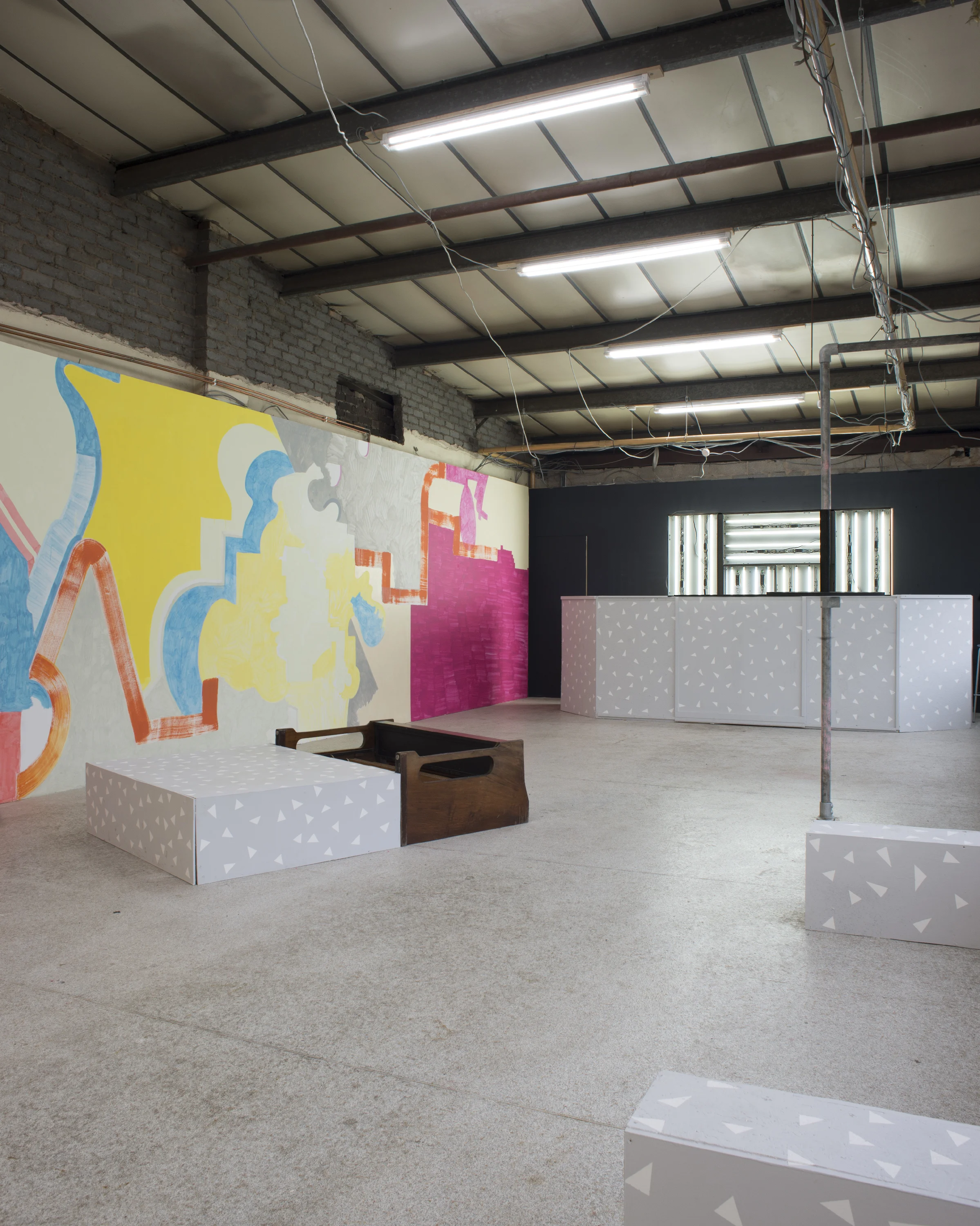 Documentation of Exciting things for exciting people , Caustic Coastal Gallery Latex wall paint, plywood, altered found objects. 2017
