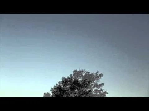 Aerial ballet at Virginia Beach Town Center