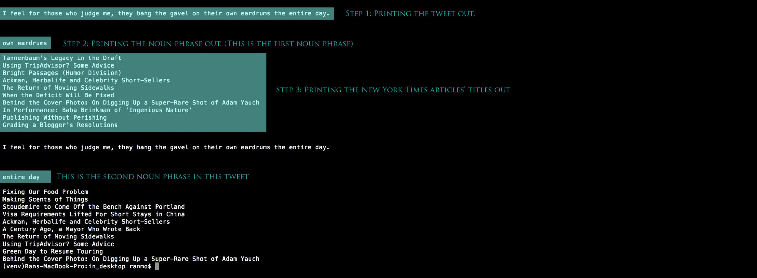 Testing in Terminal. The Python script prints different information out separately. 