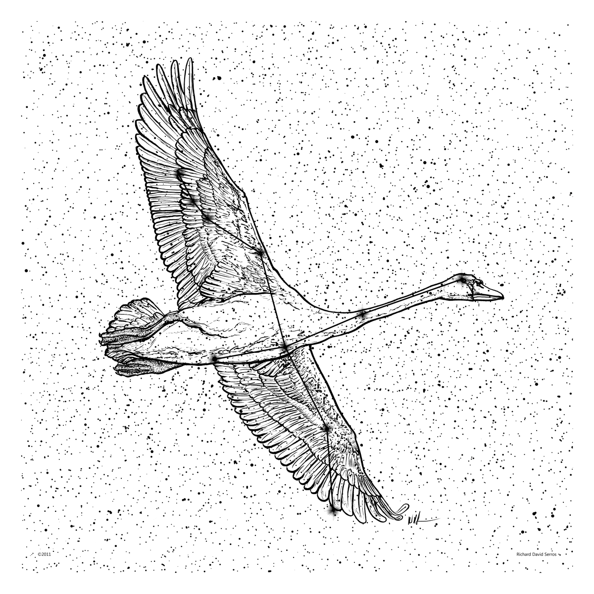 CYGNUS-Drawing.gif