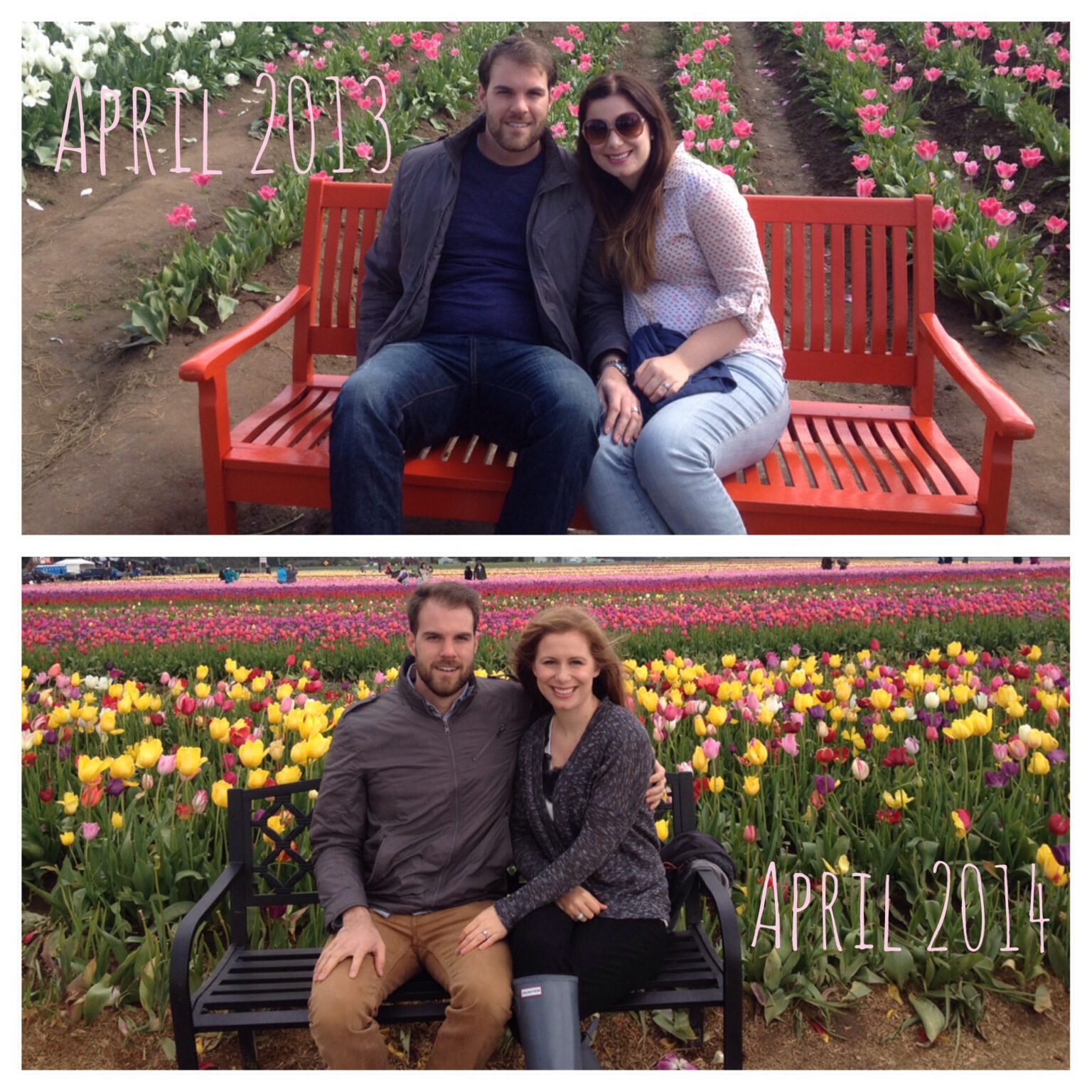 Woodburn Tulip Festival--what a difference a year can make!