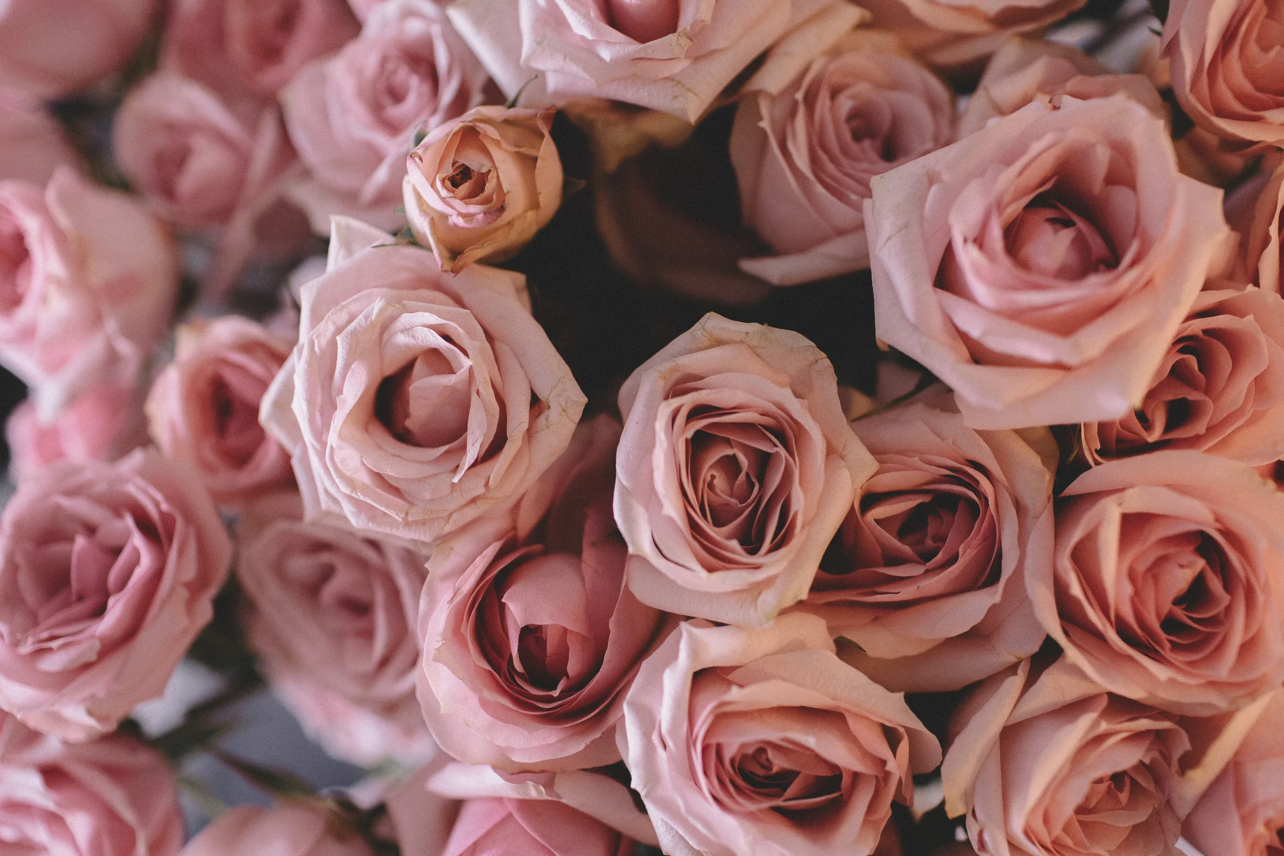 Creating Change in your Life:  4 tips for starting on the path to better health