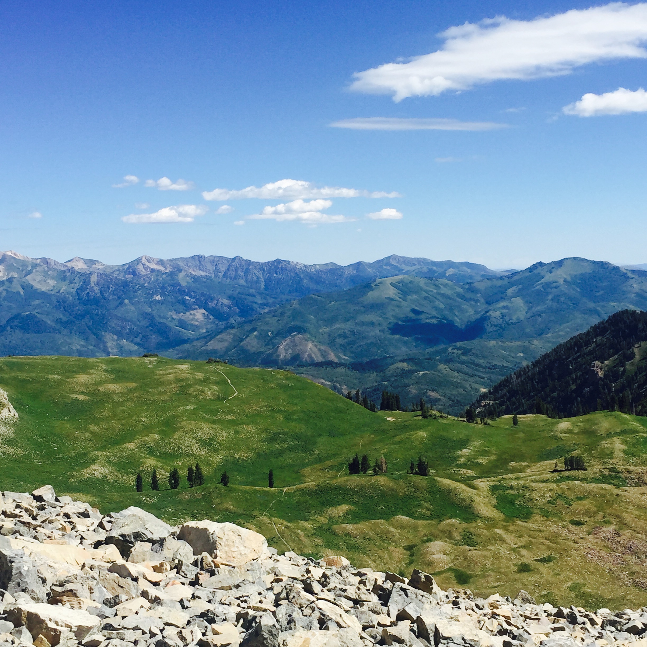 Why goal setting is so important when trying to lose weight