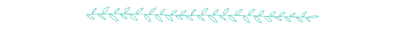 Divider.png