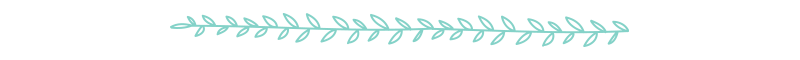 Border 1.png