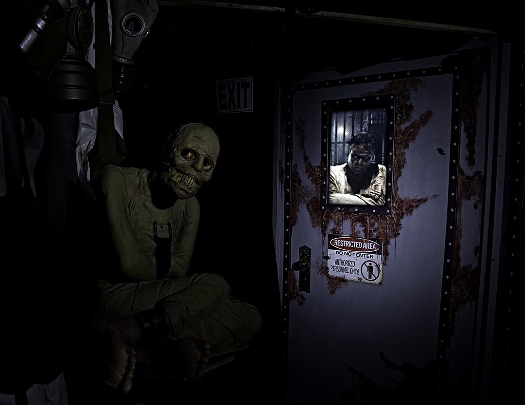 Asylum
