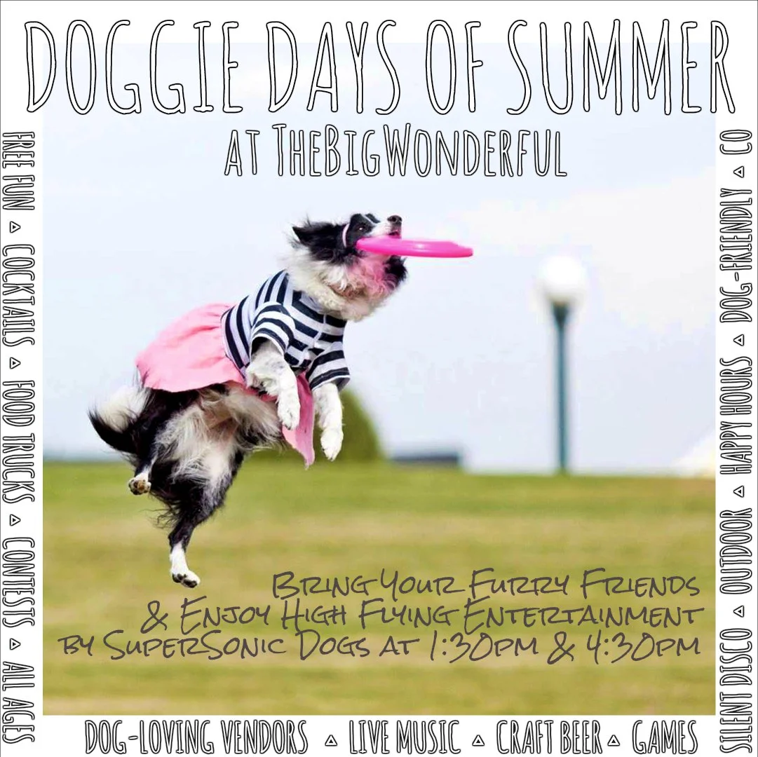 Doggie Days of Summer at The Big Wonderful Denver