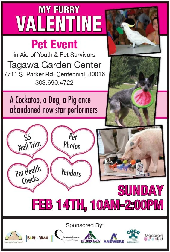 My Furry Valentine Pet Event