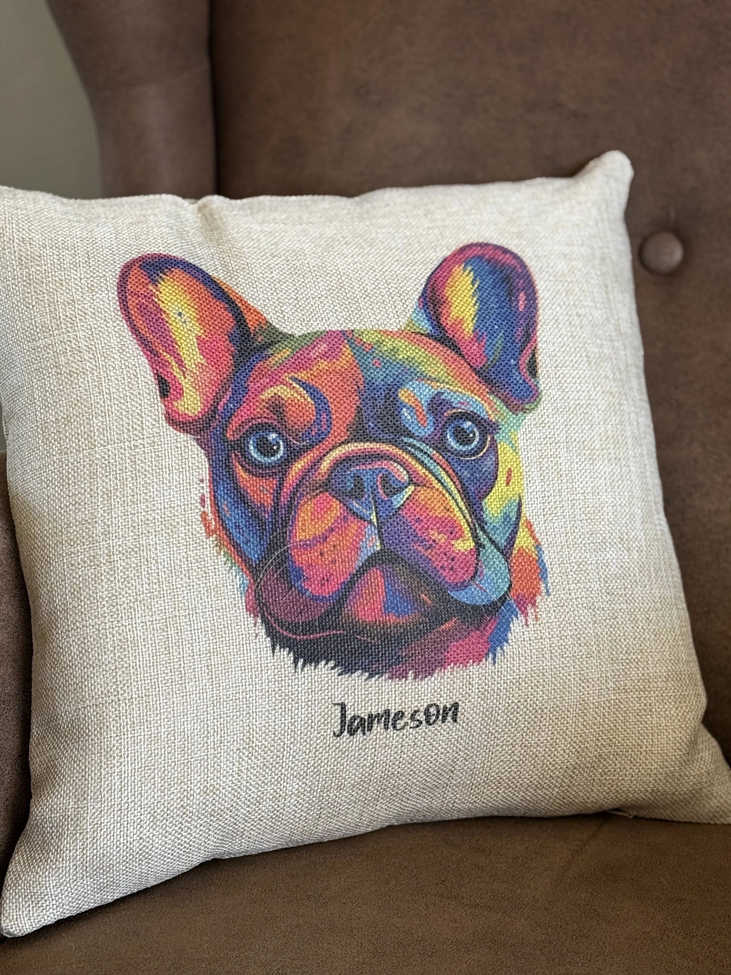 colorful frenchie web photo.jpg