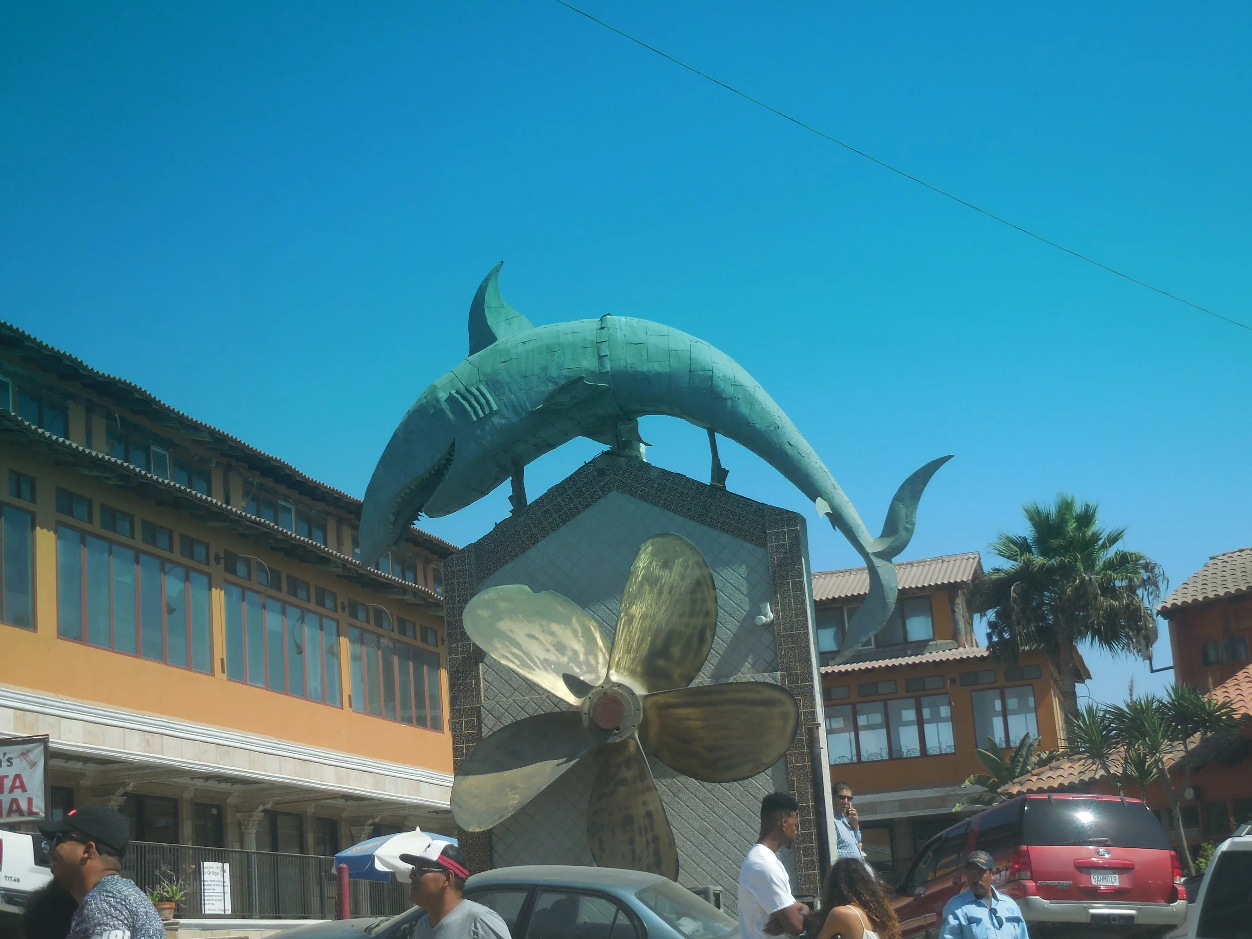 DSCN2901.JPG
