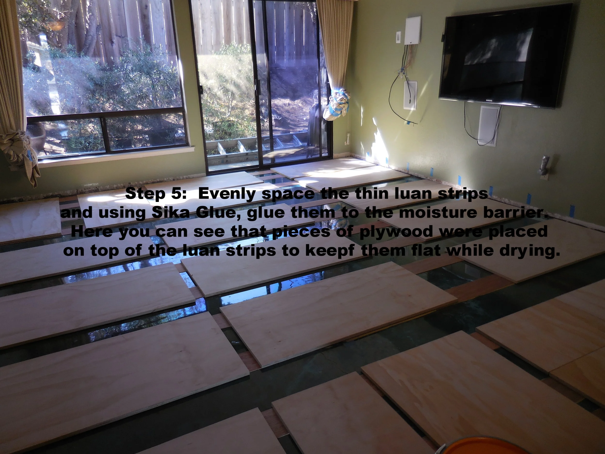 DSCN1263.JPG