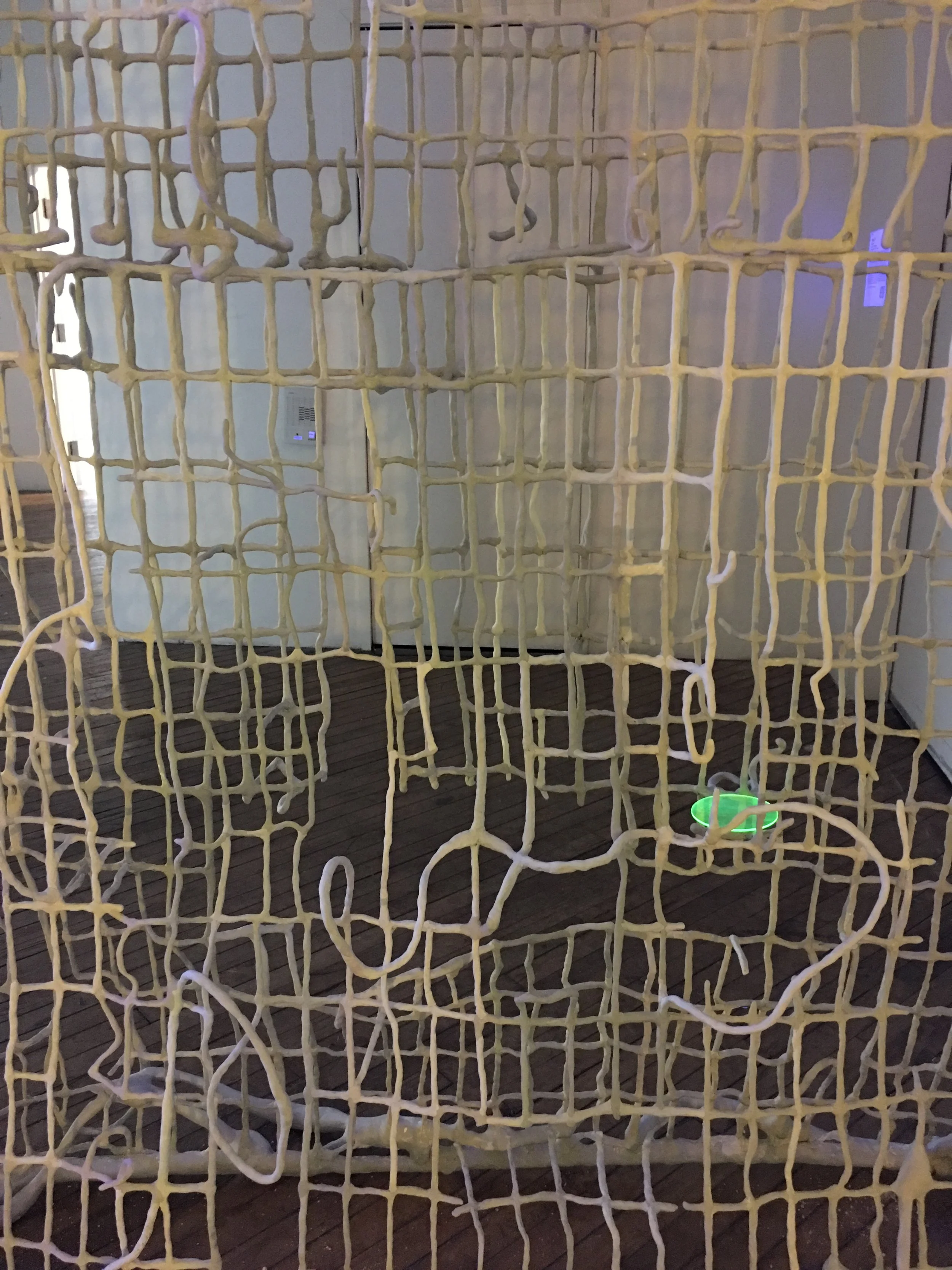 Phase Shifts (Gate), detail