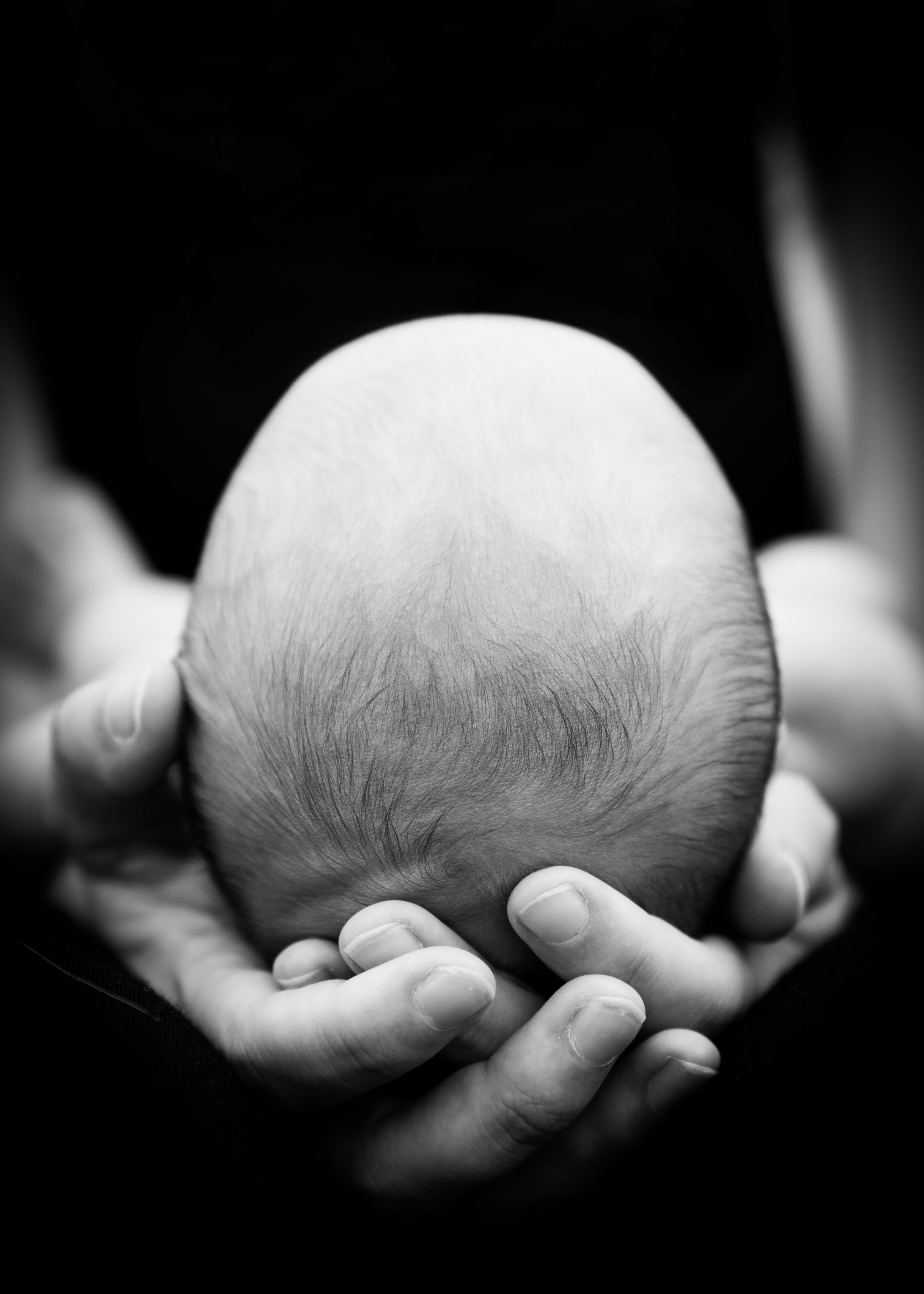 Telluride Family Photography - Newborn 5
