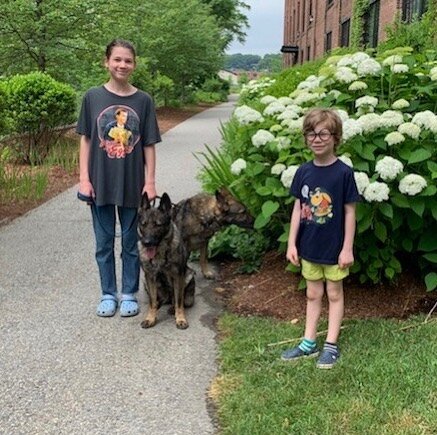 Romy and Angelo our walking Kyra and Girl while they work at the training center