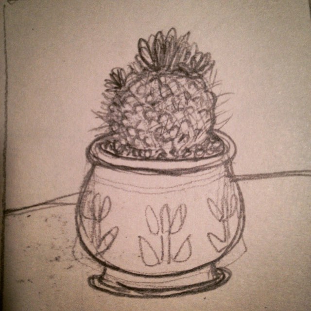 Cactus drawing! #sketches #drawing