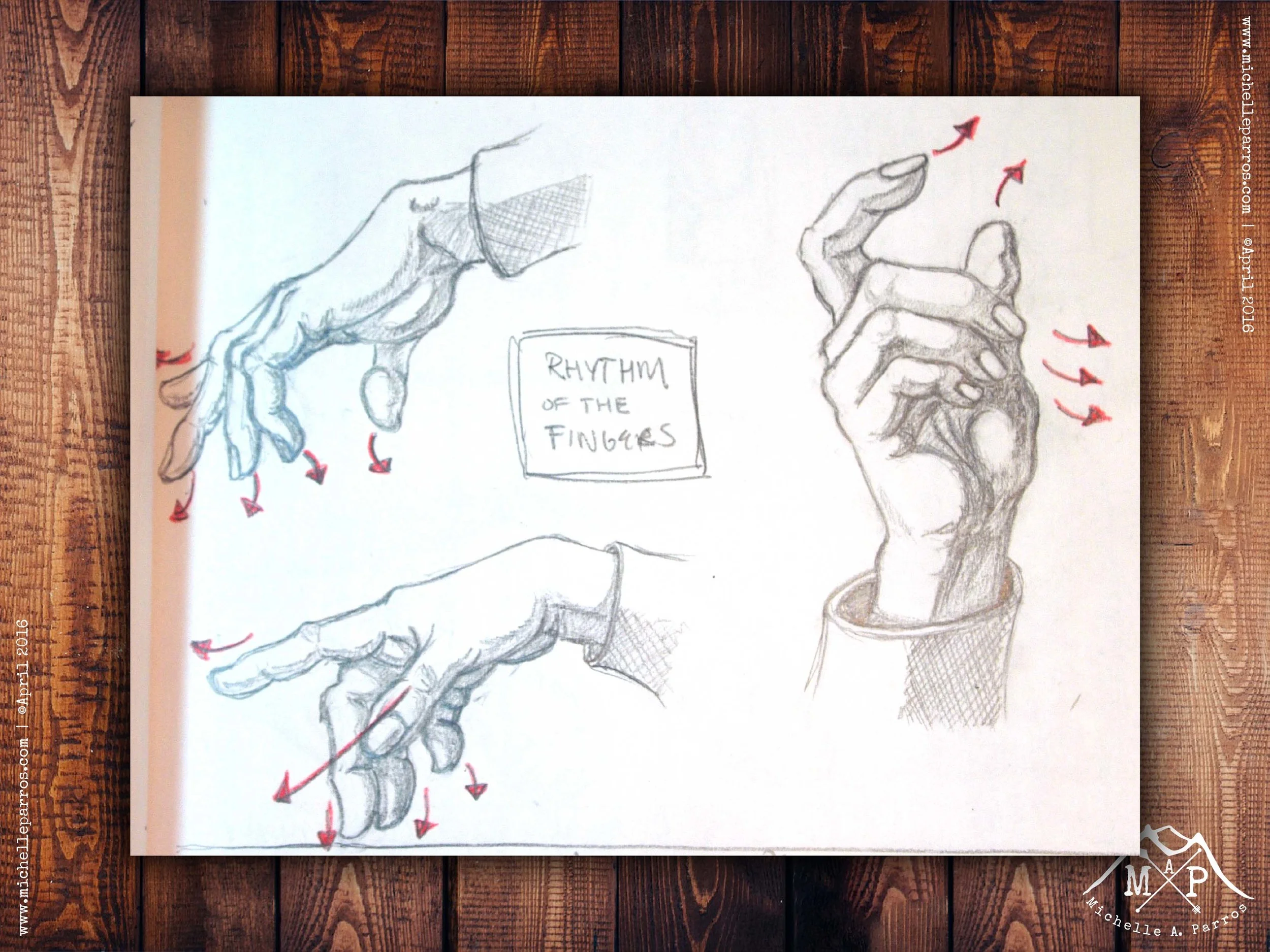 My study-sketch from Classic Human Anatomy by Valerie L. Winslow