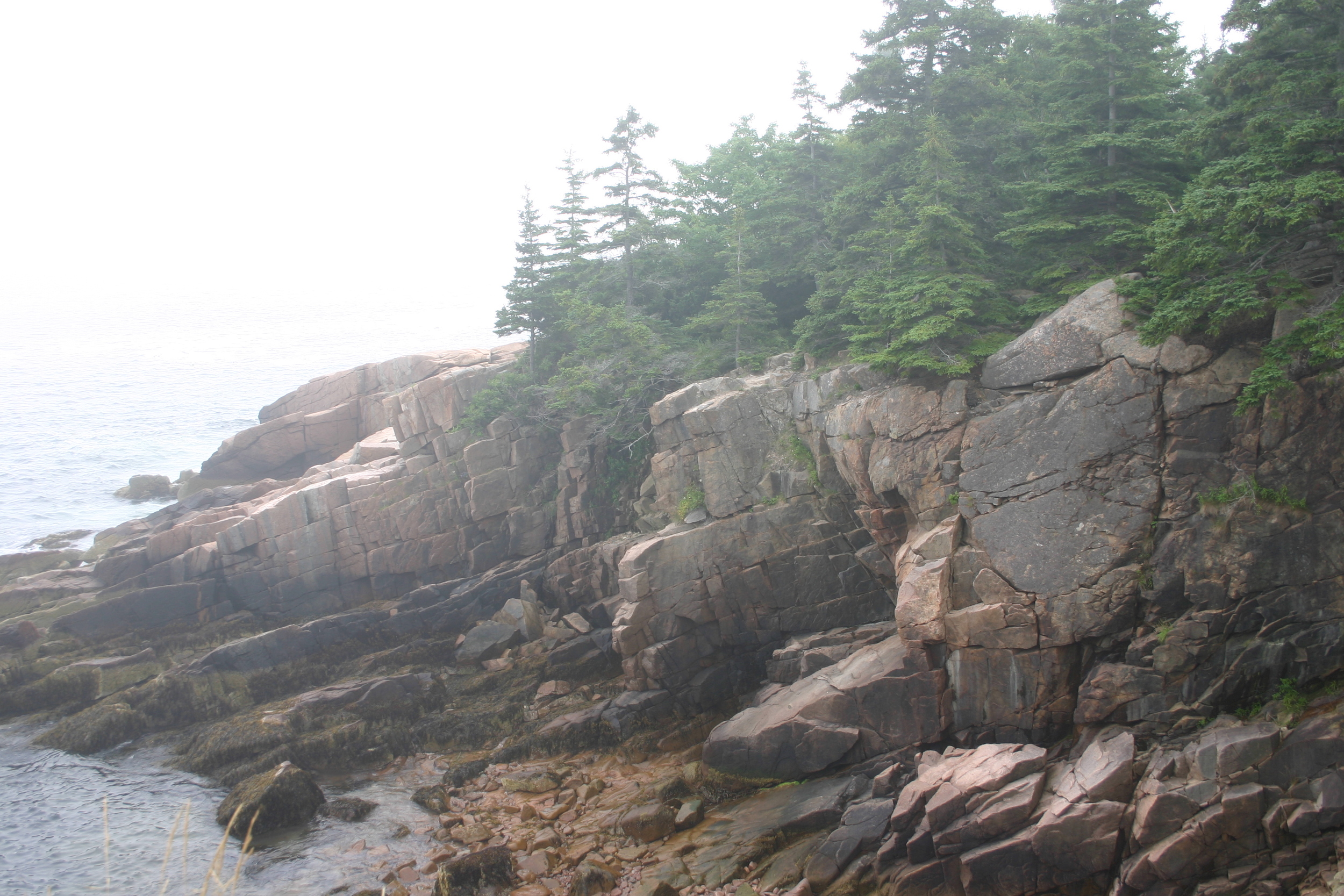 On the Park Loop Road in Acadia National Park, Maine