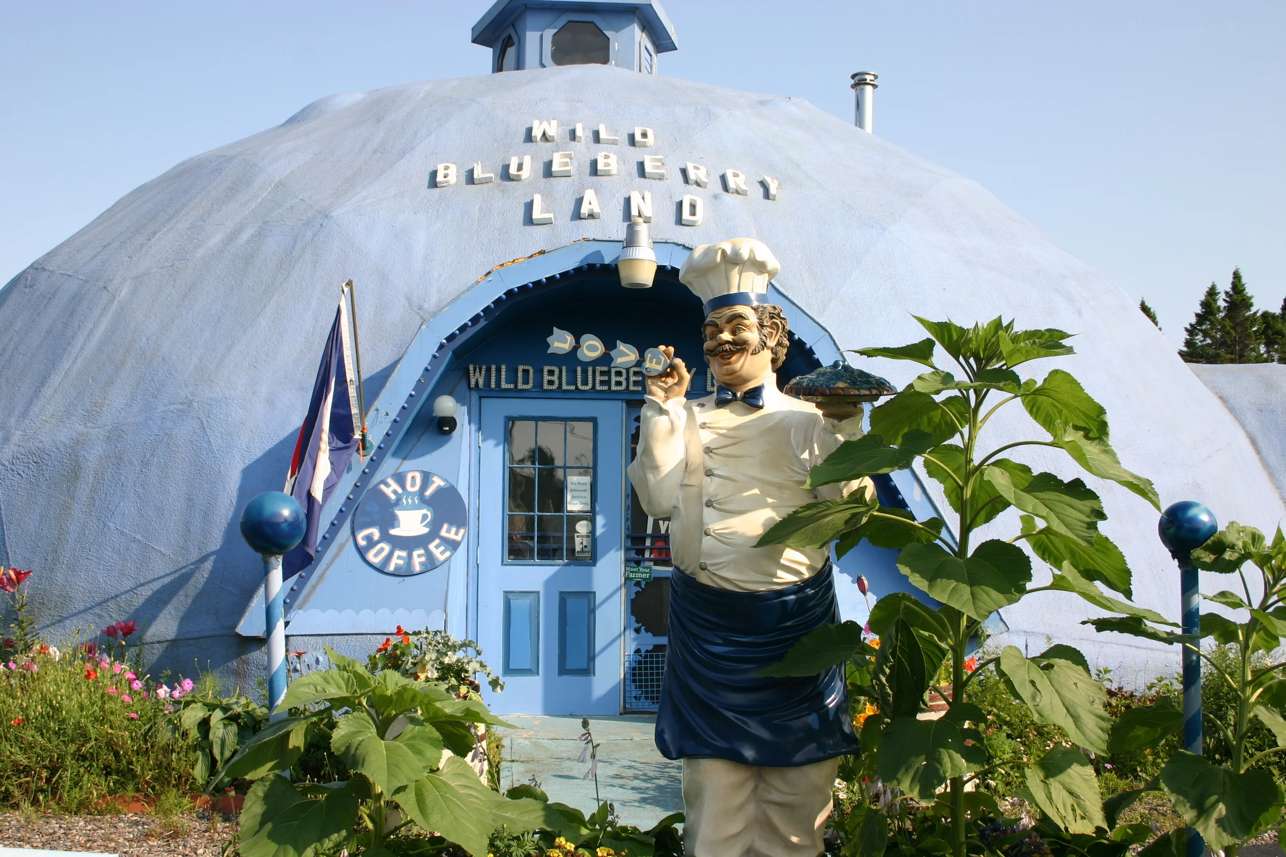 Wild Blueberry Land in Columbus Falls, Maine