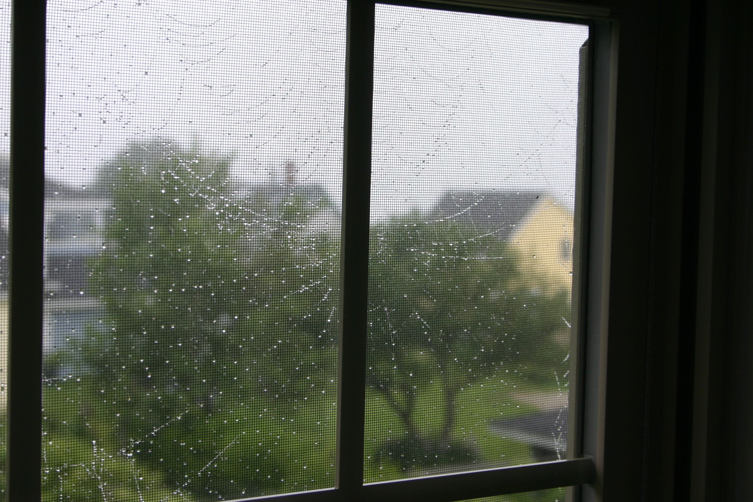 View from the Home Port Inn in Lubec, Maine