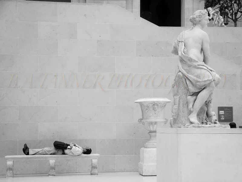 Napping in Splendor.jpg