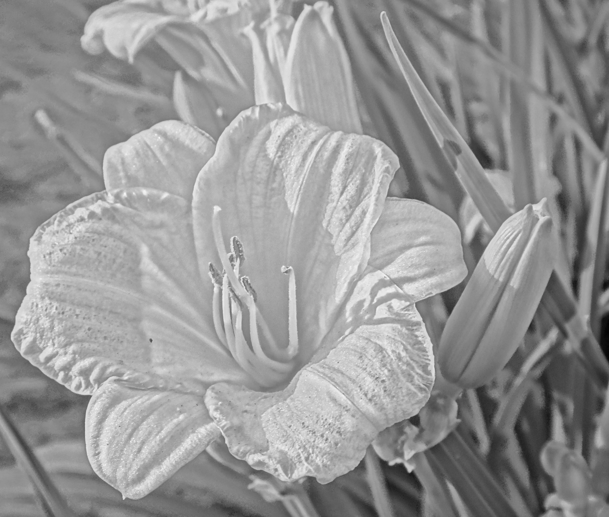 4. editedDSC00287.jpeg