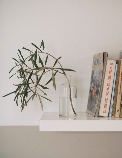 Nature & Knowledge via Leah's Home Pinterest Board