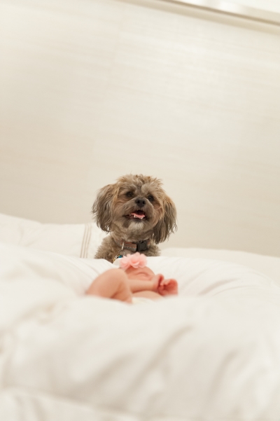 A bed's always better with a Bear and a baby! Photocred: Victoria Longtin Studios .