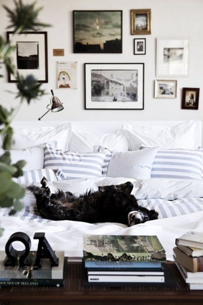 via Coco & Kelley