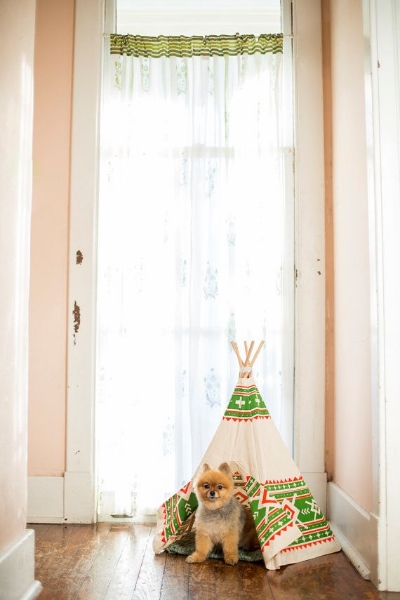 (8) For your Furbaby (Because pups deserve teepees too!) - via Etsy . Read how to D.I.Y. via Craft Gawker .