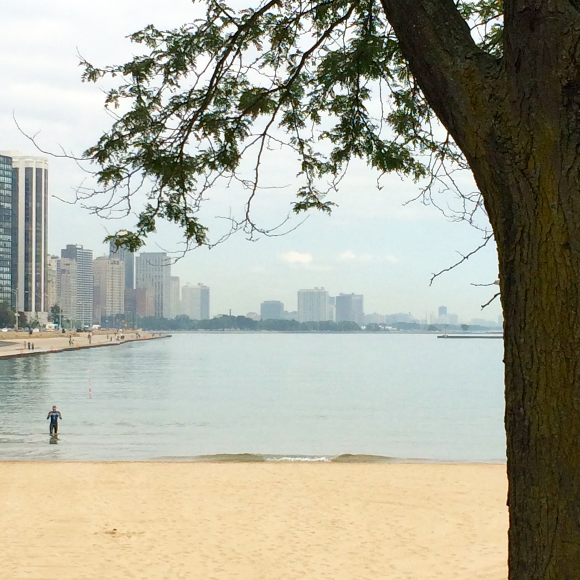 :: oak street beach, lakefront trail, chicago ::