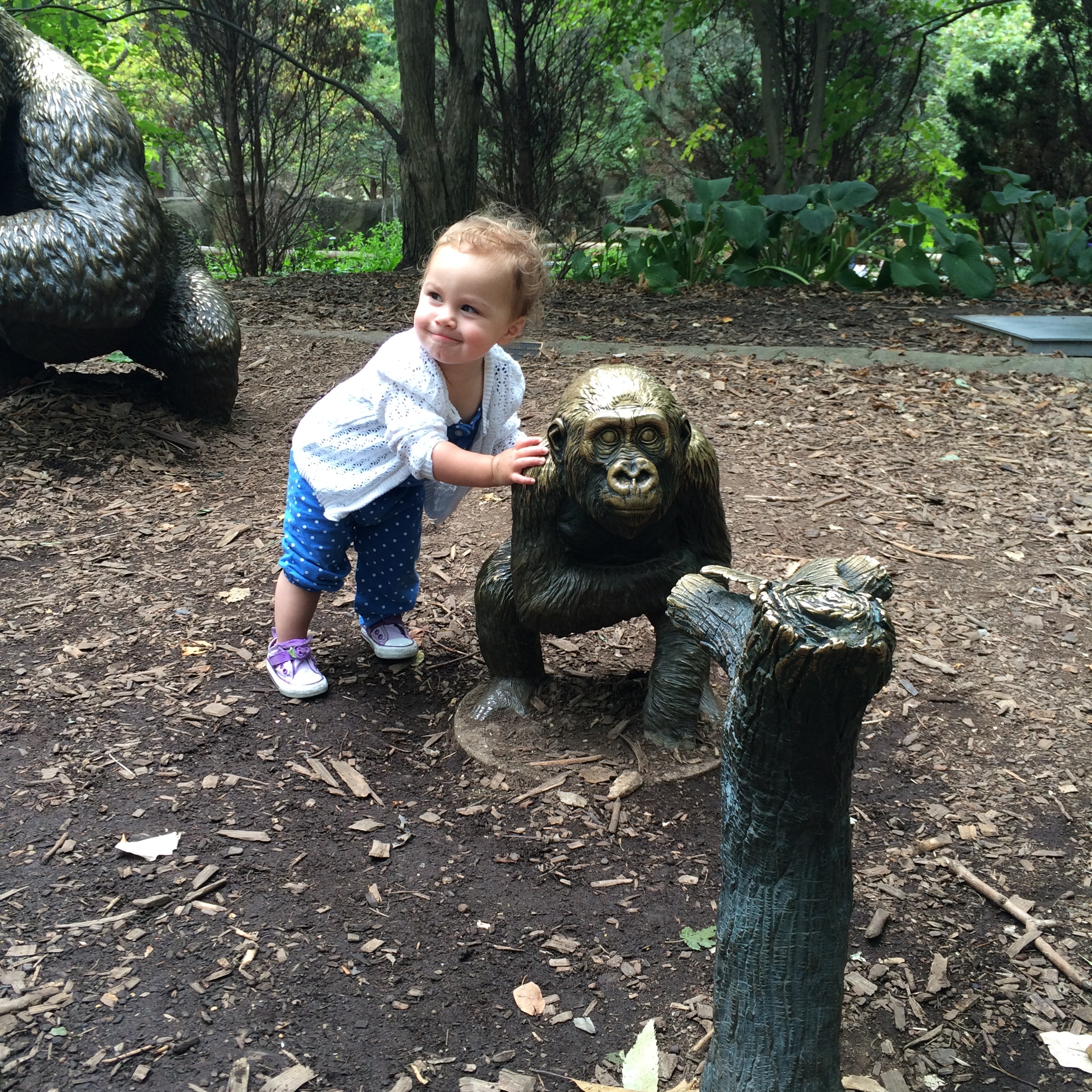 :: my little monkey at the lincoln park zoo, chicago ::