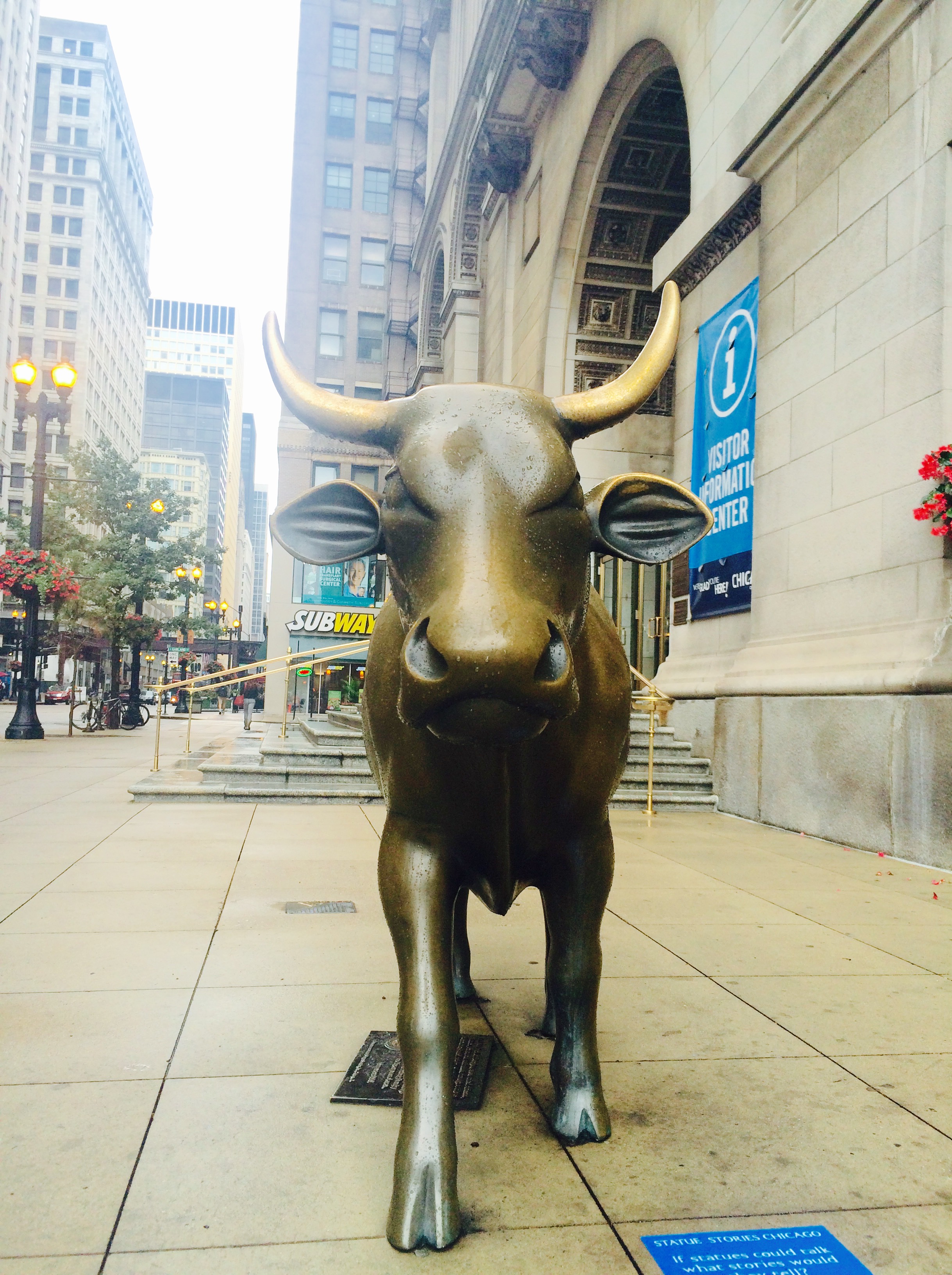 :: miss A really liked this friendly bull outside of the chicago cultural center ::