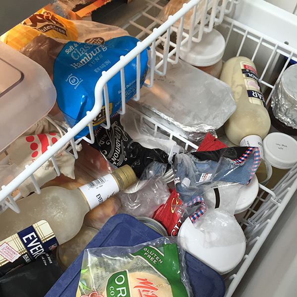 (oh my! my freezer before the sort)