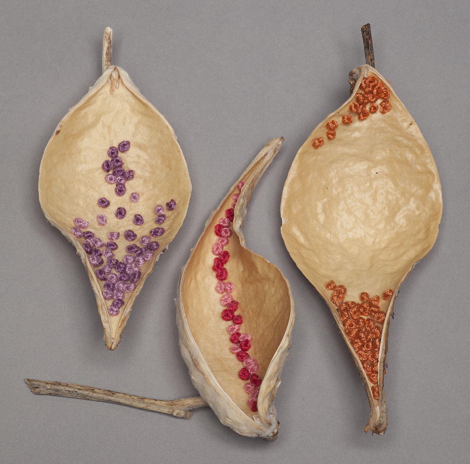 Purple Pink Spine and Orange Pods.jpg