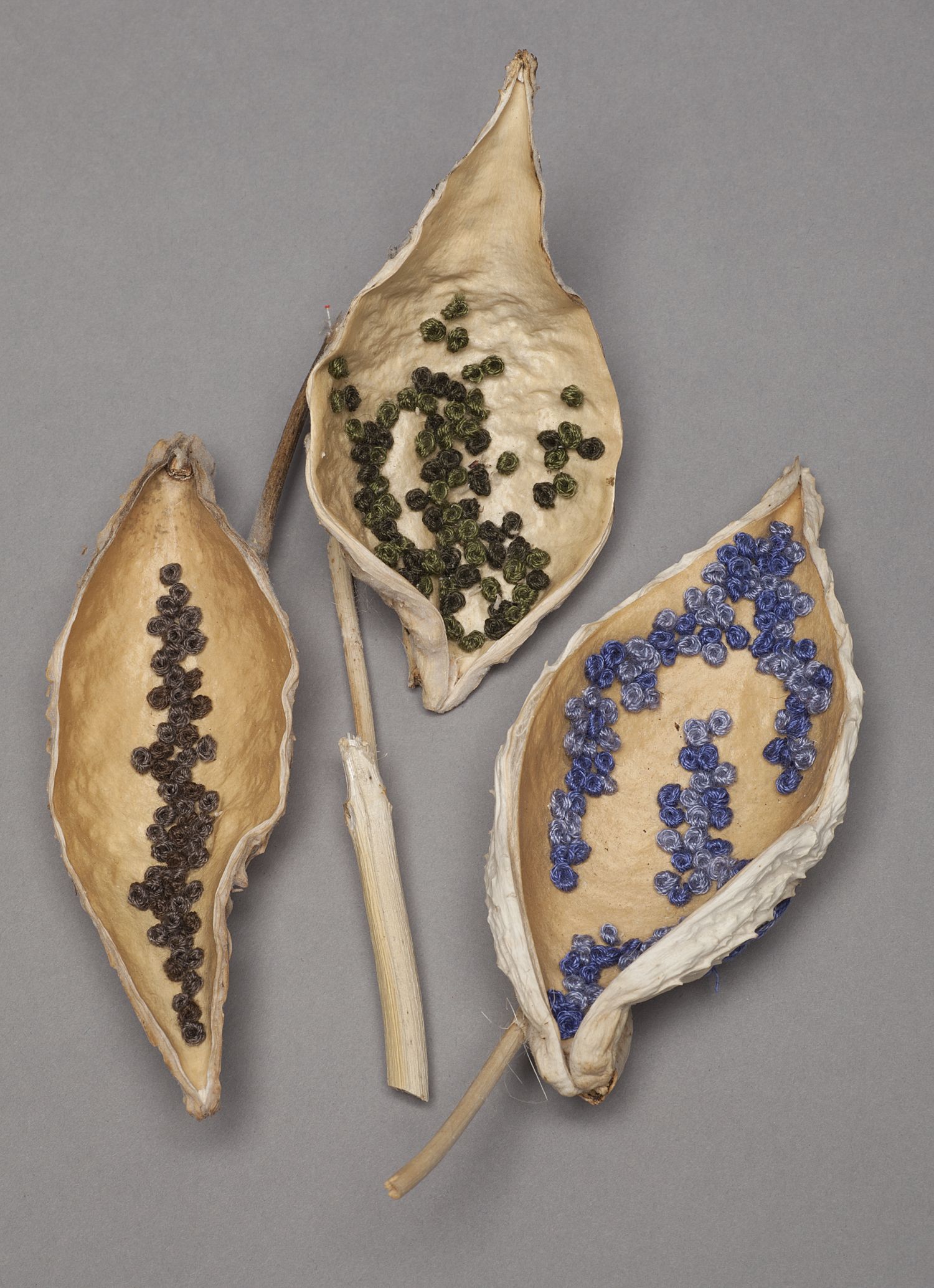 Two Dark Green and Blue Pods.jpg