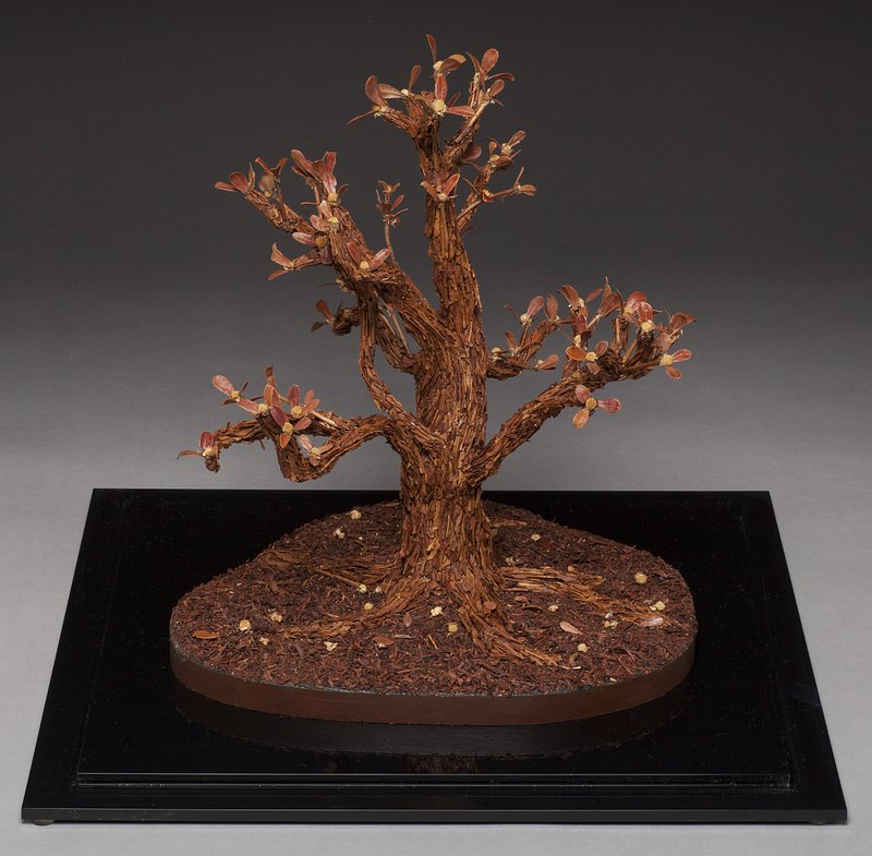 Tea Tree