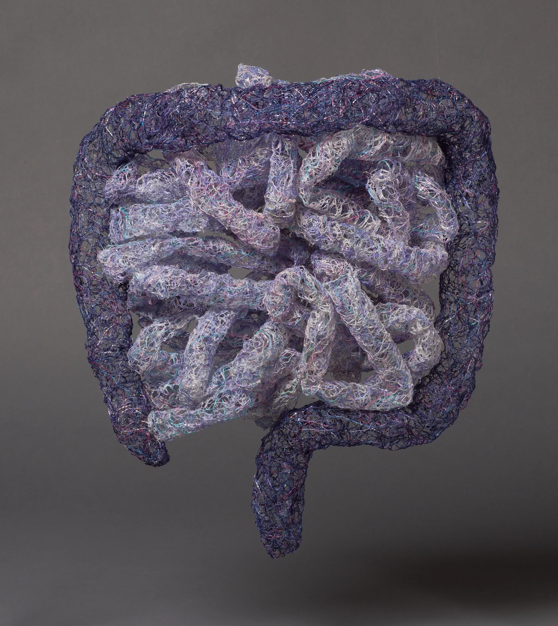 Large and Small Intestines