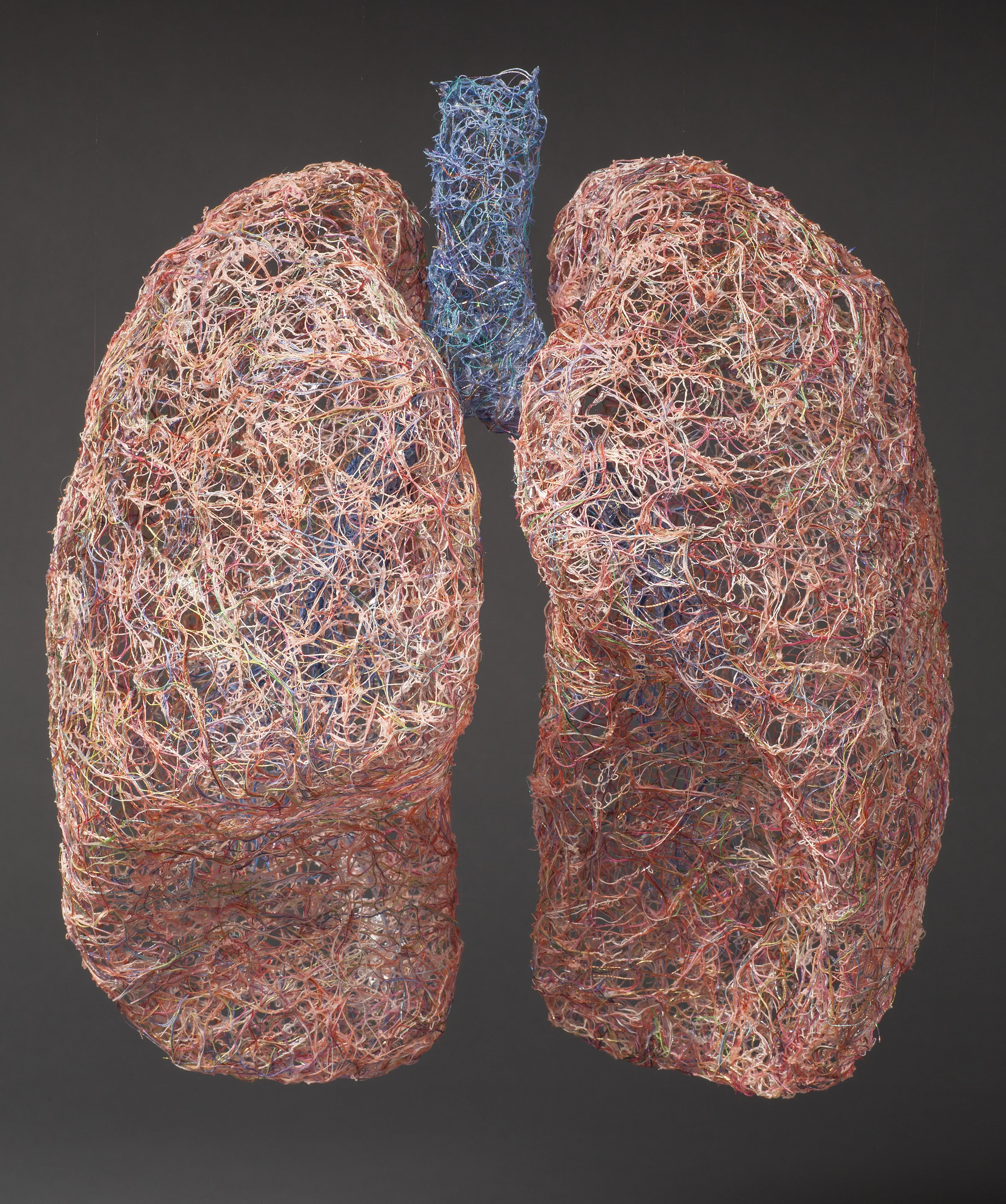 Lungs