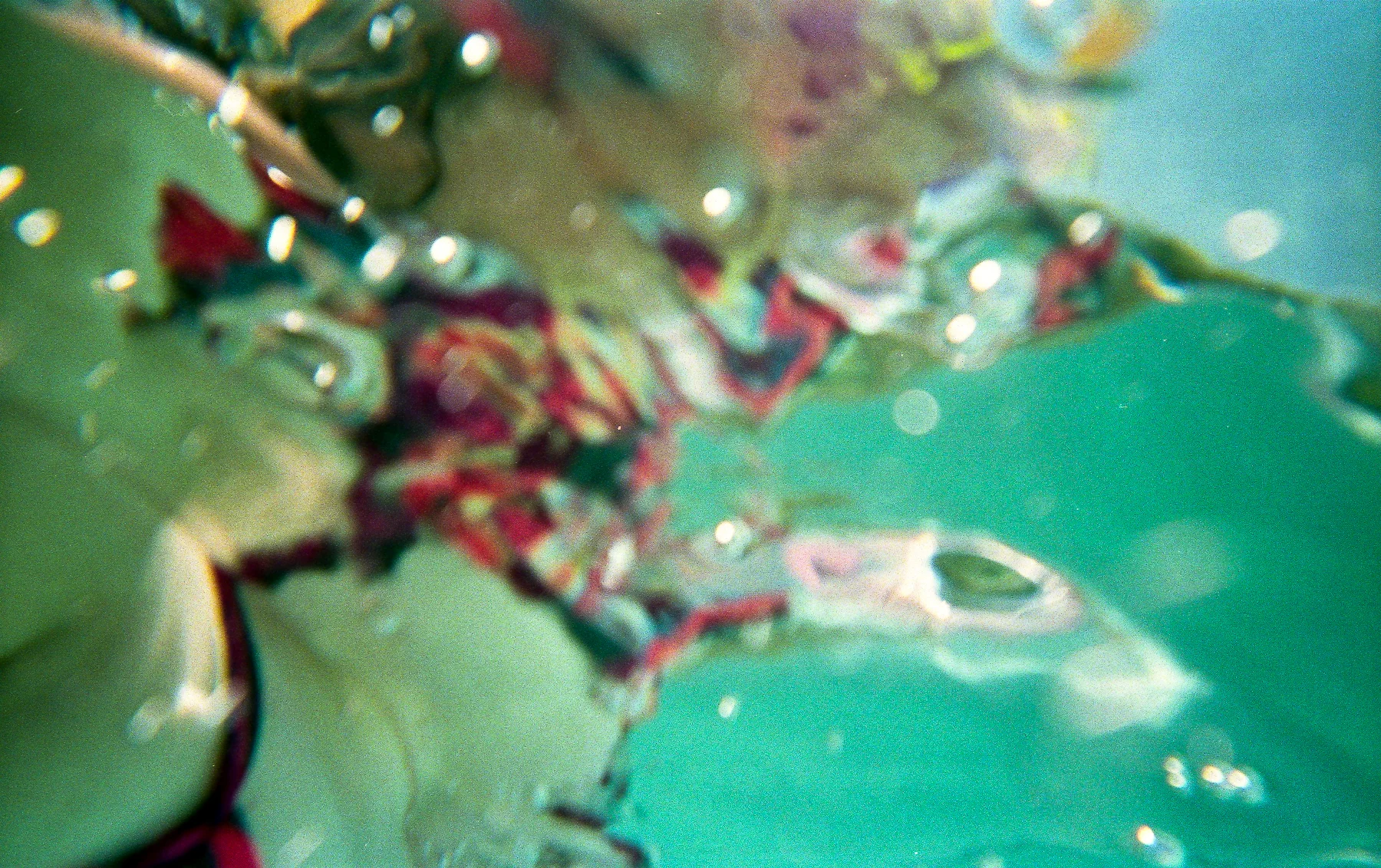 vacation1535mm245.jpg