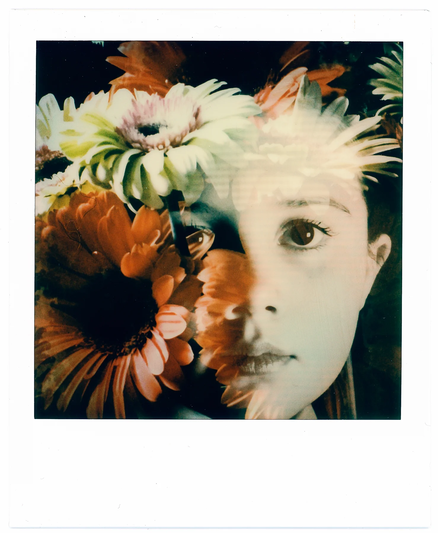 polaroids101.jpg