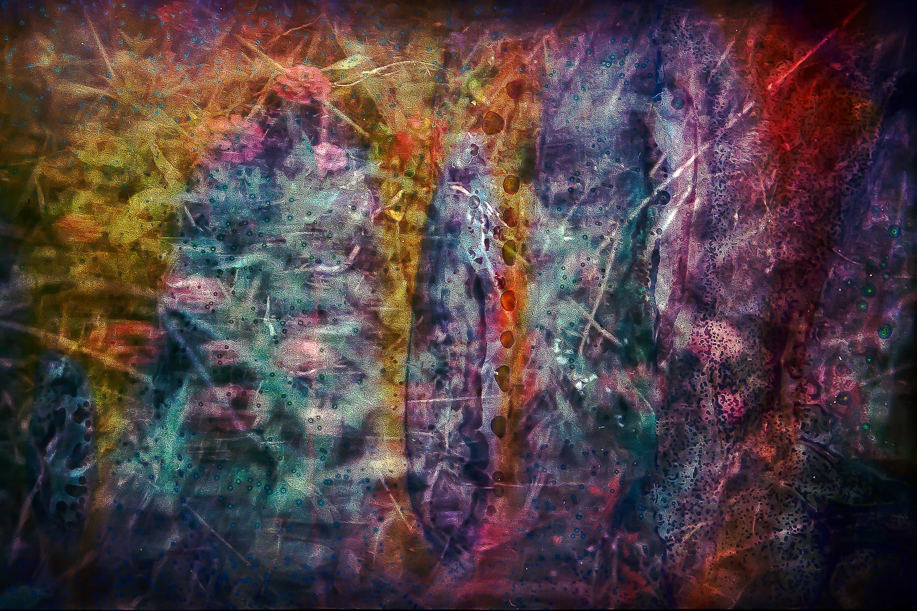 cleansoup025.jpg