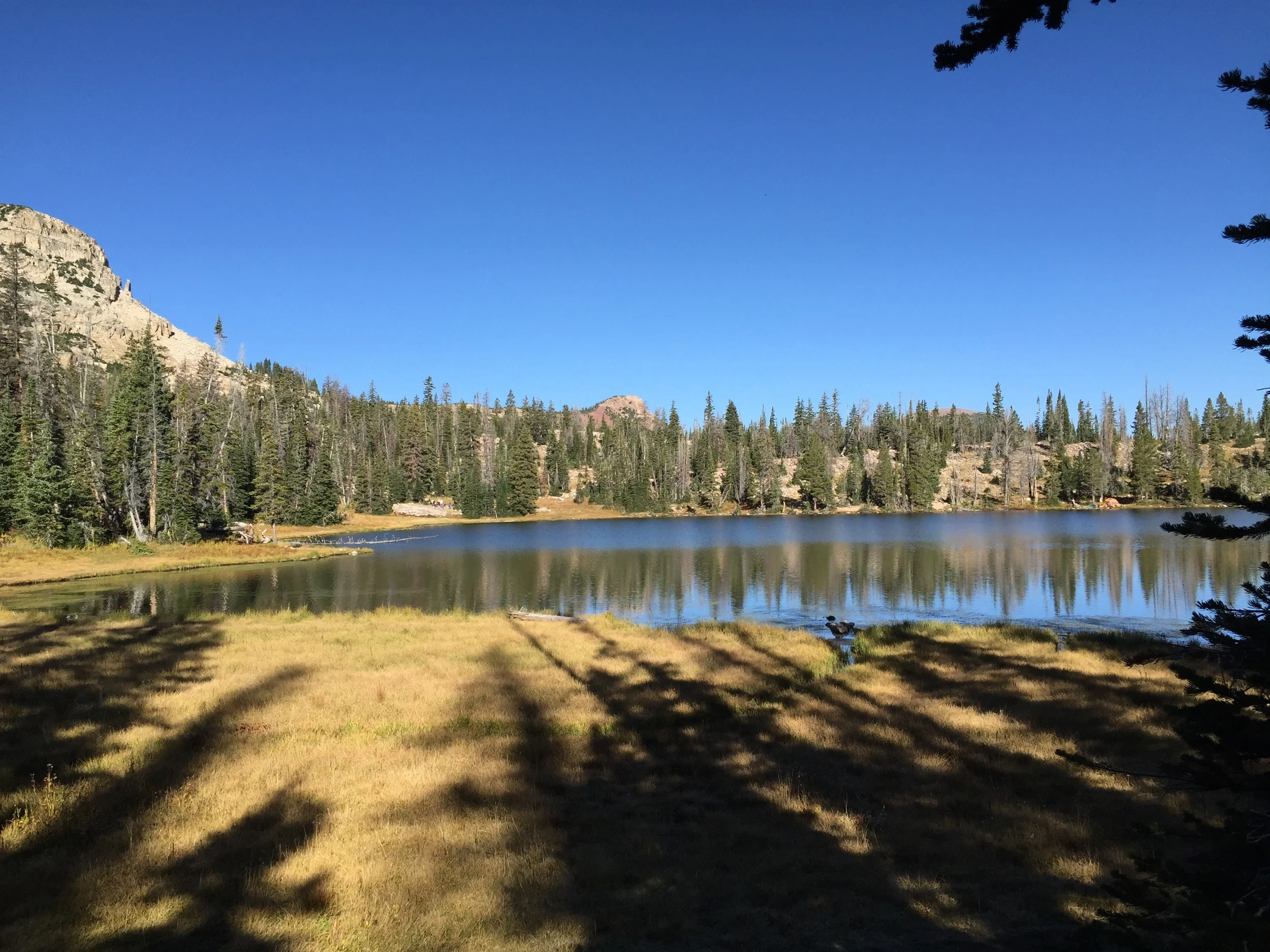 Open space