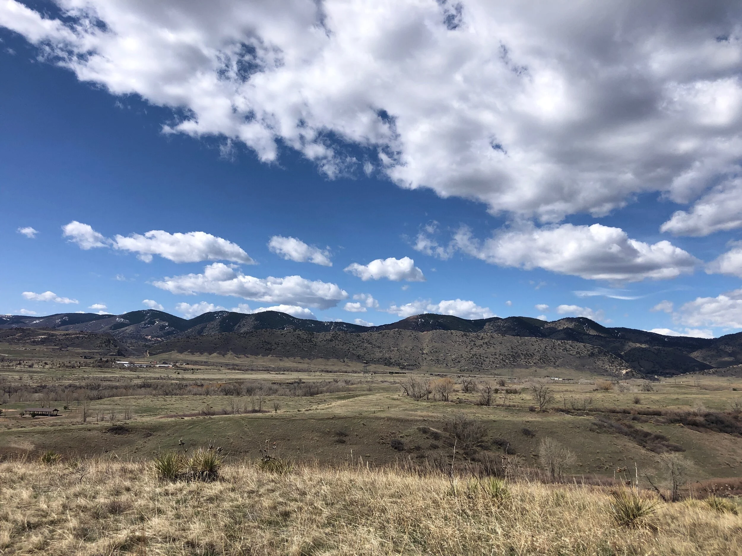 Training Week 5: Hope in hard times