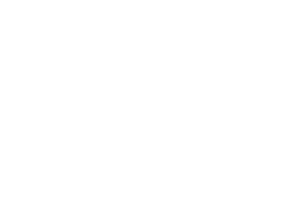 Tyler Reidy - Video Director