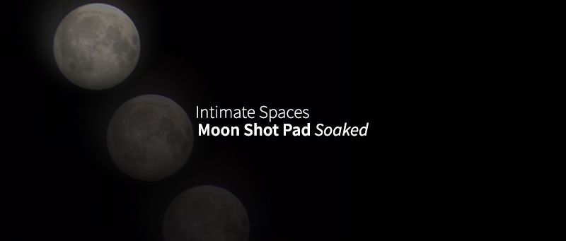 moonshotstore.png