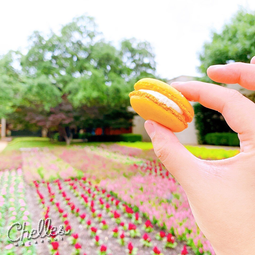 Grab some macs from Chelles Macarons on this beautiful summer day! #ChellesYeah #macarons #foodie #dallasfoodie